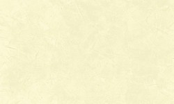 Decorazza STUCCO VENEZIANO / Цвет #SV  10-53